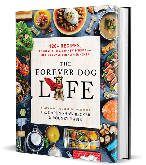 Home Forever Dog Life Book