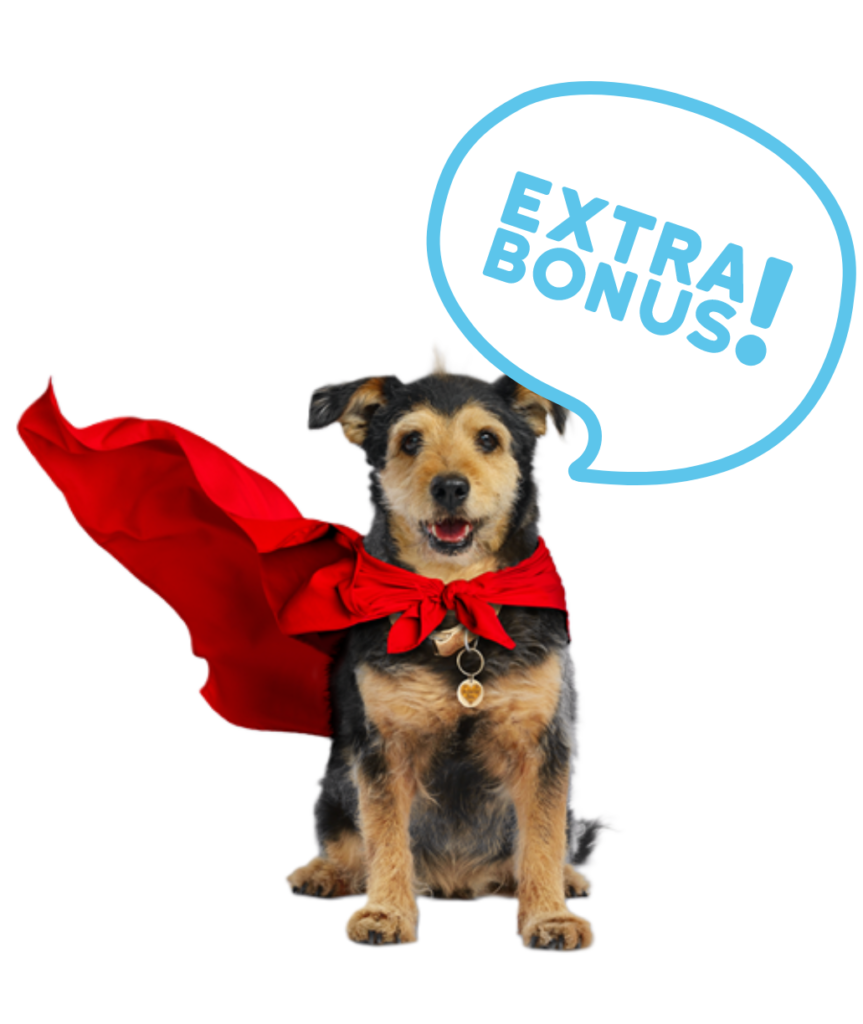 The Forever Dog Life %Rodney Habib% %Dr. Karen Becker% The Forever Dog Life %Rodney Habib% %Dr. Karen Becker%