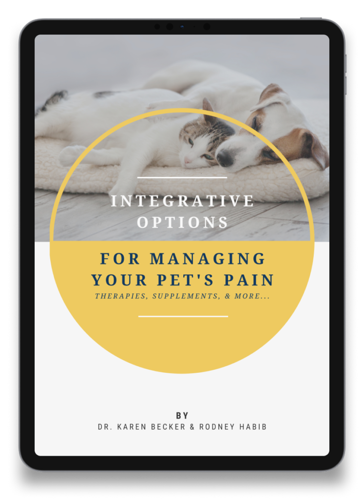 The Forever Dog Life %Rodney Habib% %Dr. Karen Becker%